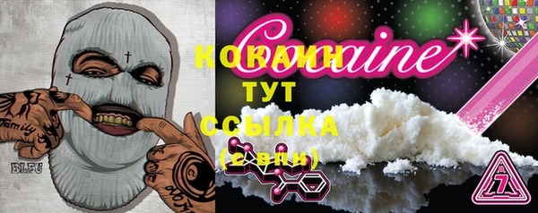 индика Балахна